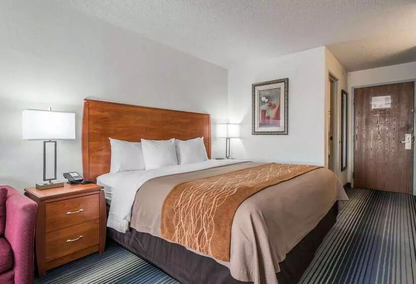 Otel Quality Inn Denver Westminster