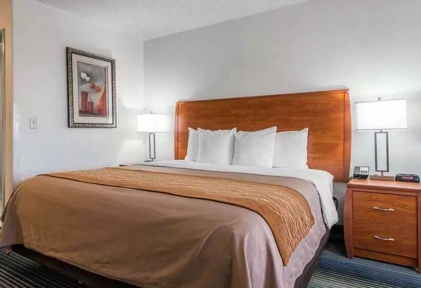 Otel Quality Inn Denver Westminster