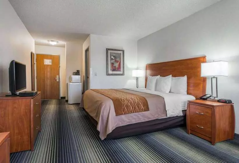 Otel Quality Inn Denver Westminster