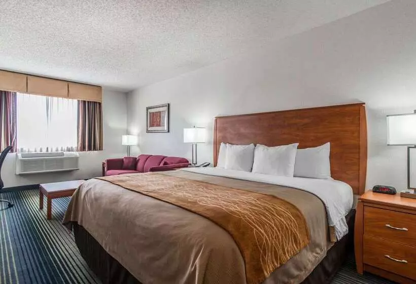Otel Quality Inn Denver Westminster