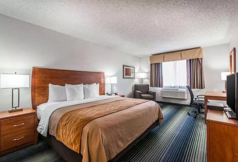 Otel Quality Inn Denver Westminster