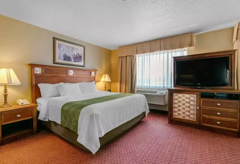 酒店 Quality Inn Near Monument Health Rapid City Hospital