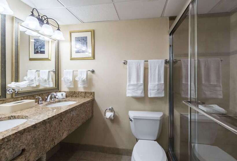 酒店 Quality Inn & Suites Conference Center