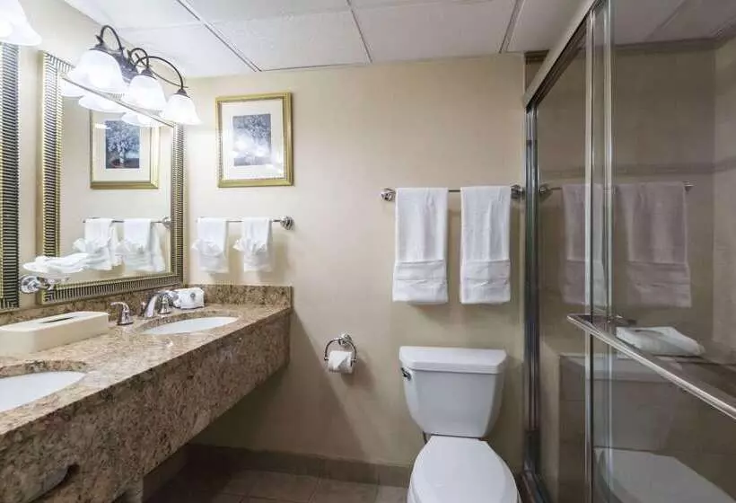 Отель Quality Inn & Suites Conference Center