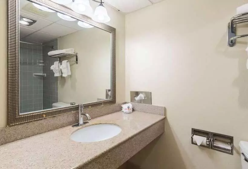 Отель Quality Inn & Suites Conference Center