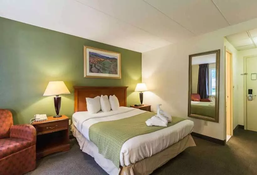 Отель Quality Inn & Suites Conference Center