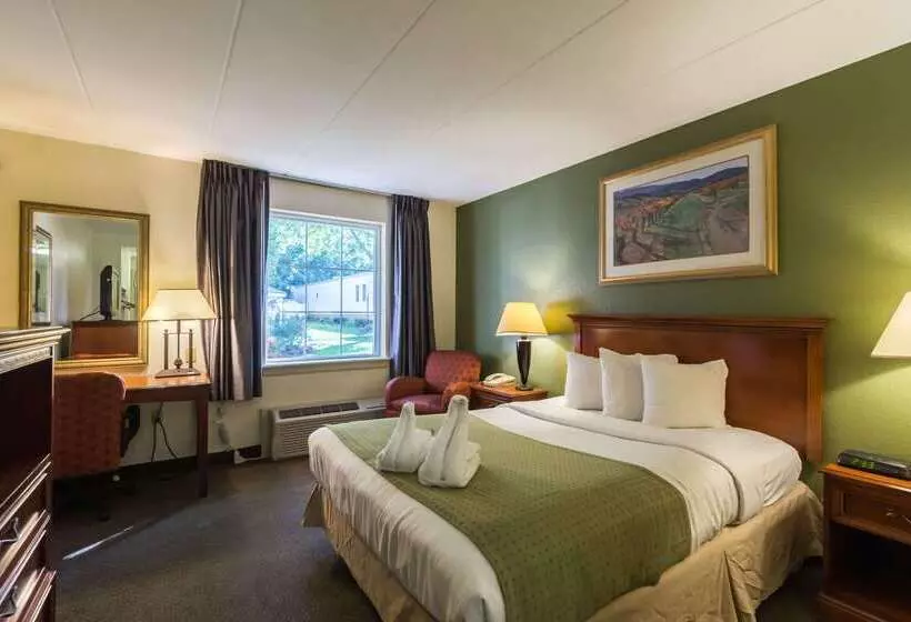 Отель Quality Inn & Suites Conference Center