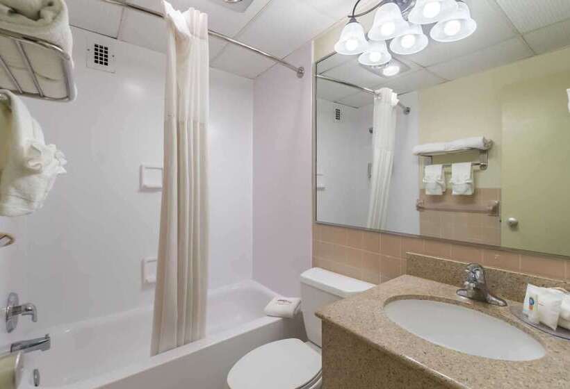 酒店 Quality Inn & Suites Conference Center