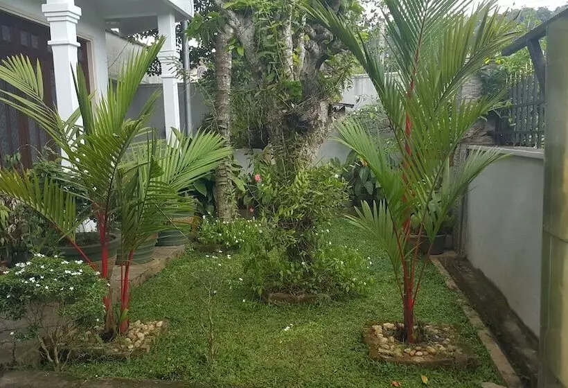 تختخواب و صبحانه Resident View Homestay