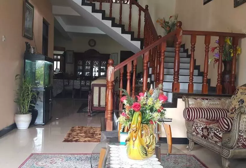 تختخواب و صبحانه Resident View Homestay
