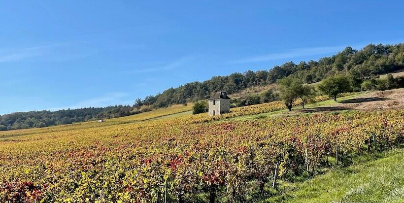 مبيت وإفطار Côté Park