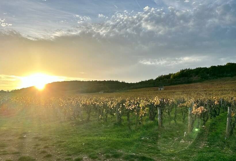 مبيت وإفطار Côté Park