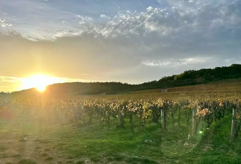 Aamiaismajoitus (B&B) Côté Park