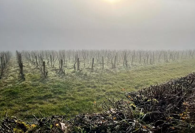 Aamiaismajoitus (B&B) Côté Park