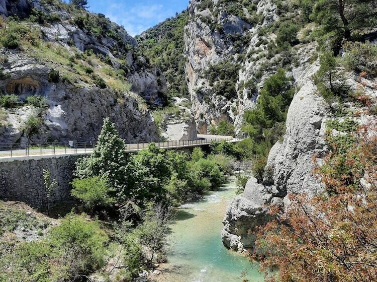 酒店 Les Arcades Le Lion D'or