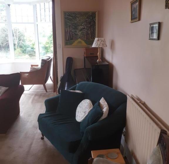 פנסיון Castlemorris House