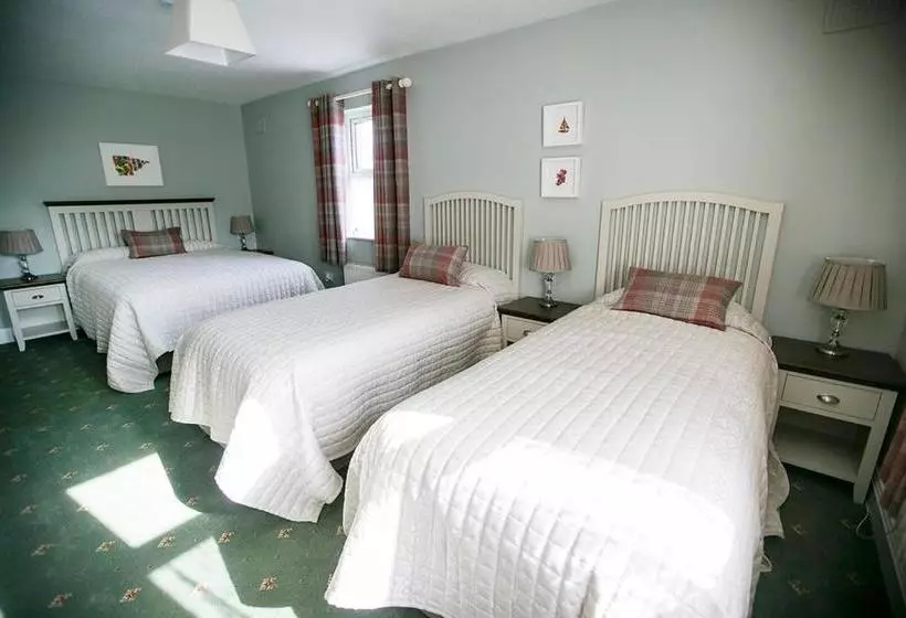 ベッドアンドブレックファースト Moloney House