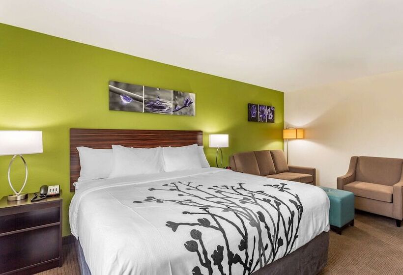 Отель Sleep Inn & Suites Gallatin Nashville Metro