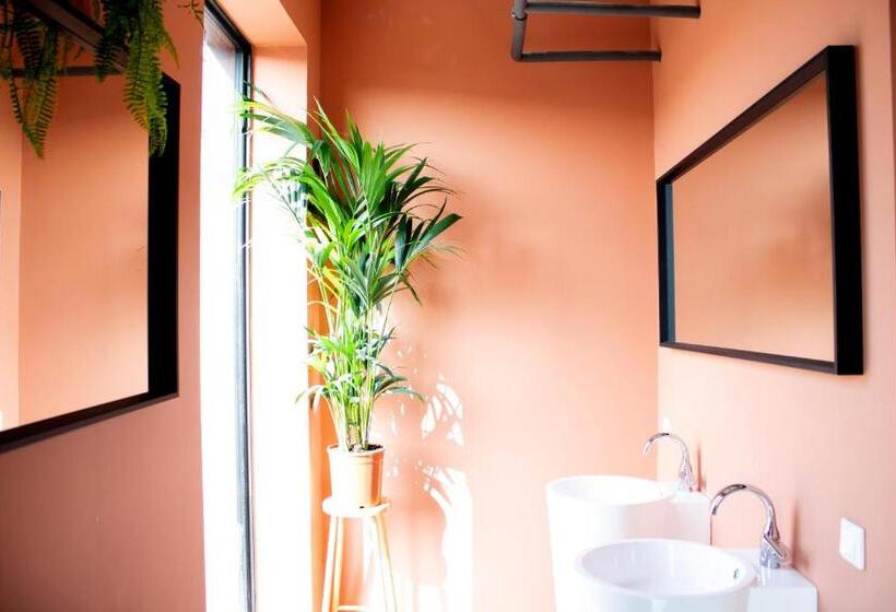 Pink Flamingo Boutique Hostel