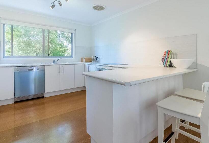 Salt Water Secret Surf Side