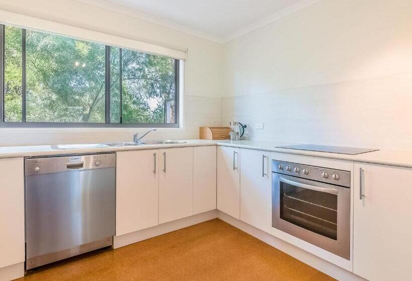 Salt Water Secret Surf Side