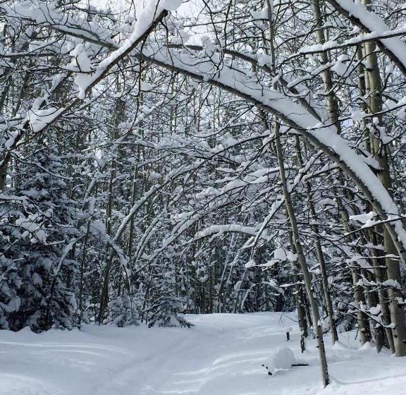 Отель Arrowhead Mountain Lodge