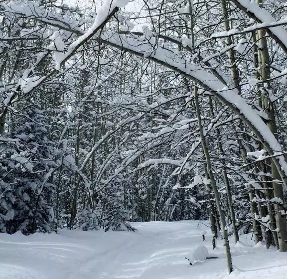 Отель Arrowhead Mountain Lodge