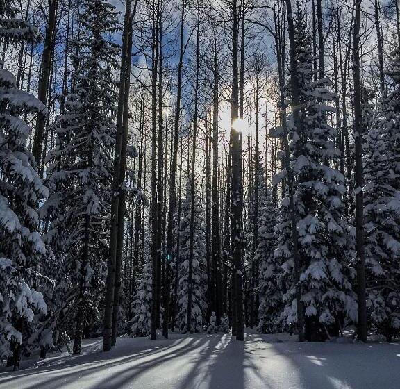 Отель Arrowhead Mountain Lodge