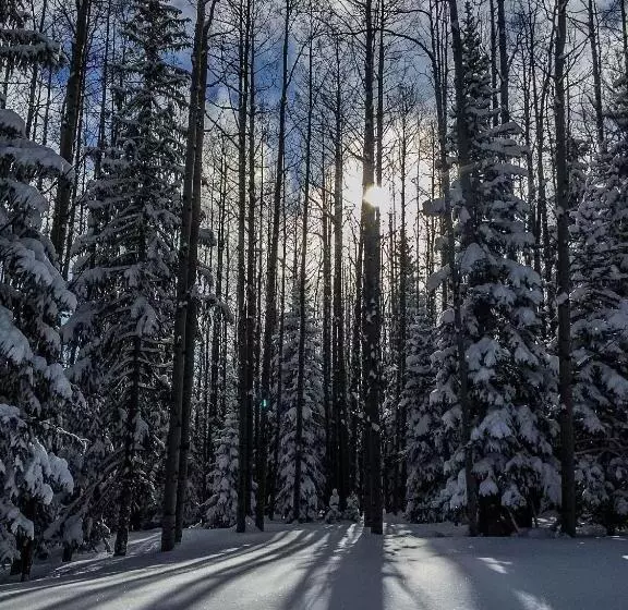 Отель Arrowhead Mountain Lodge