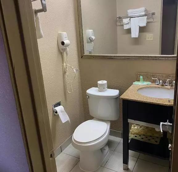 בית מלון כפרי Howard Johnson By Wyndham Historic Lake Charles