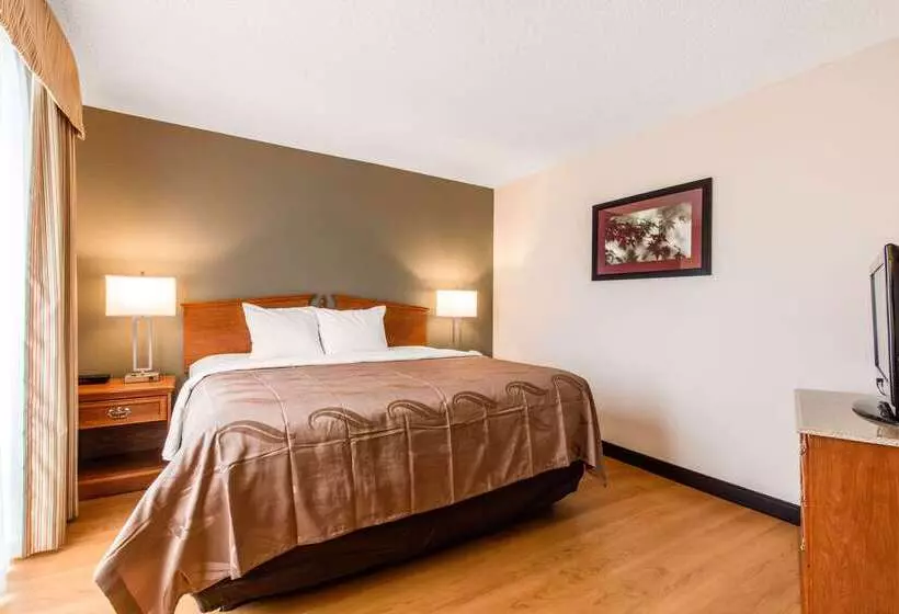 酒店 Quality Inn Valley West Point