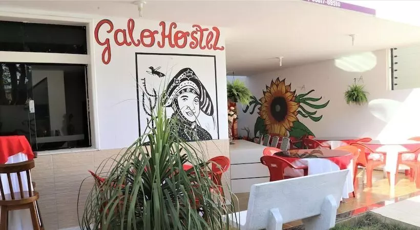 Galo Hostel Petrolina   Praça Do Galo