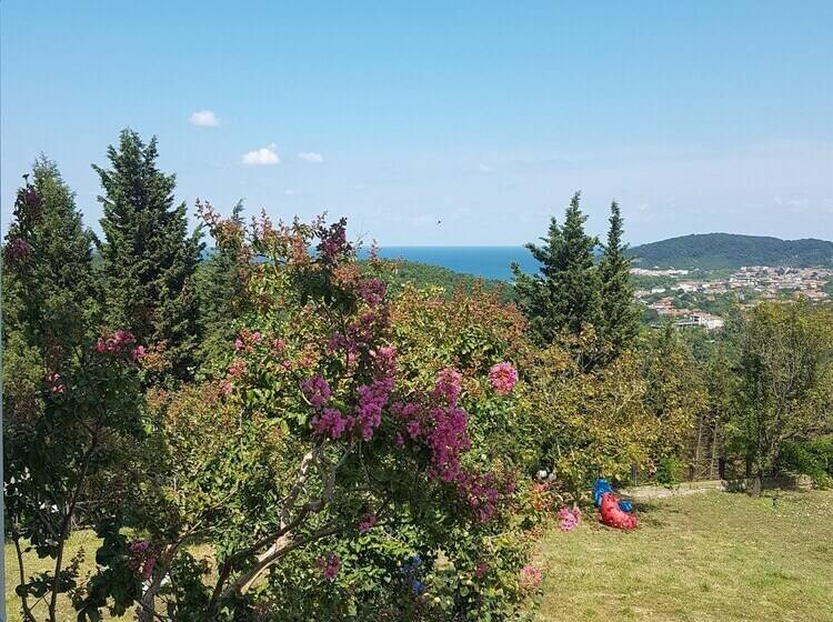 Хостел Ağva Stone House Boutique