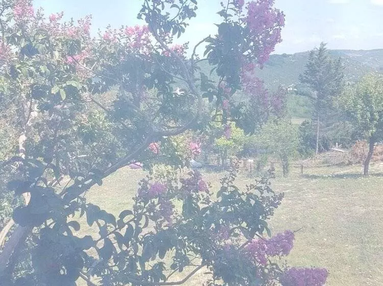 مسافرخانه Ağva Stone House Boutique