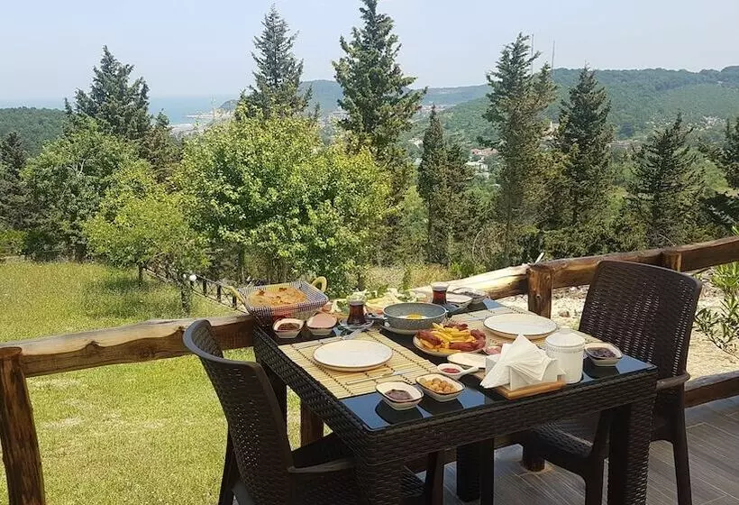 مسافرخانه Ağva Stone House Boutique