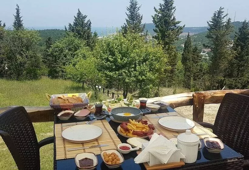 مسافرخانه Ağva Stone House Boutique