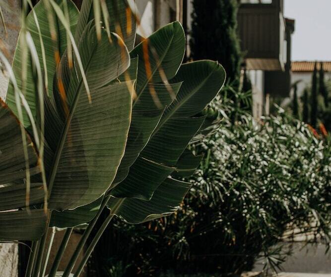 هتل Bernadet Alaçatı