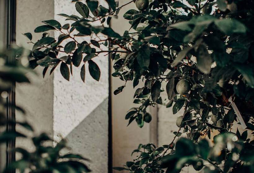 هتل Bernadet Alaçatı