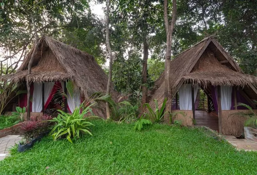 ホテル Damnak Tormeas Homestay