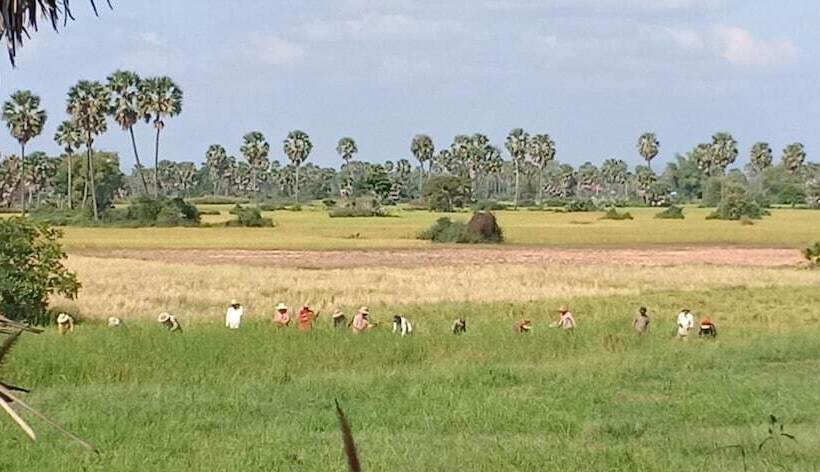 هتل Damnak Tormeas Homestay