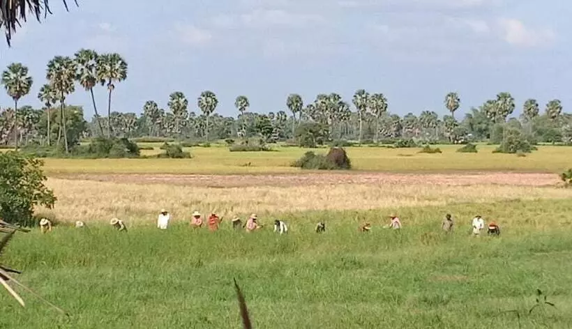 ホテル Damnak Tormeas Homestay