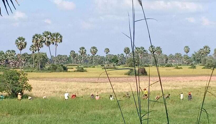 هتل Damnak Tormeas Homestay