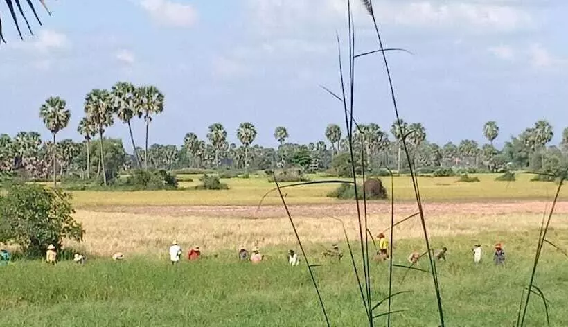 ホテル Damnak Tormeas Homestay