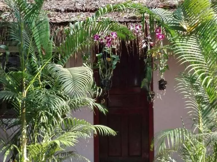 ホテル Damnak Tormeas Homestay