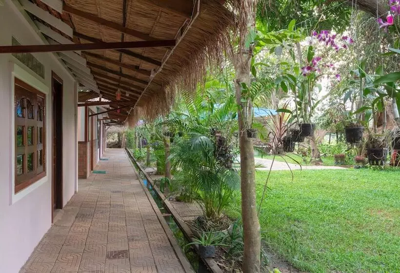 ホテル Damnak Tormeas Homestay