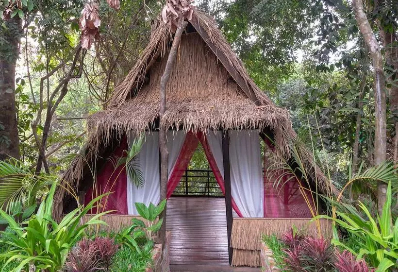 ホテル Damnak Tormeas Homestay