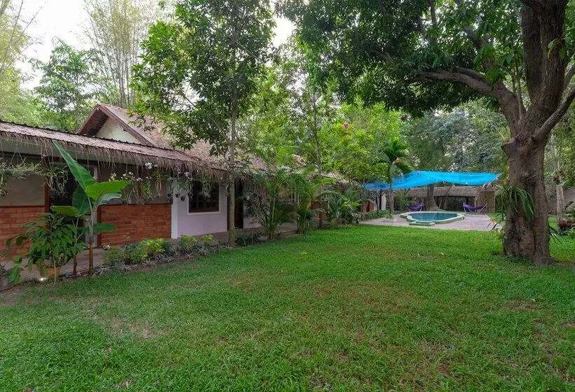 ホテル Damnak Tormeas Homestay