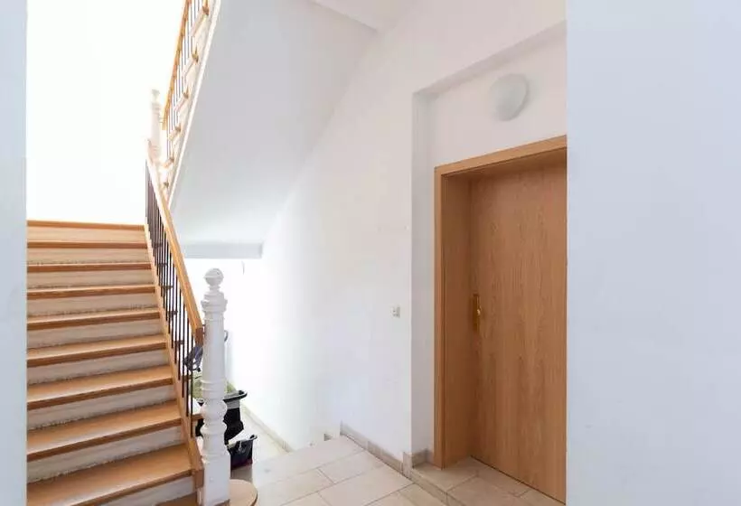 ホテル Fischerwiege   Apartments Am Domplatz