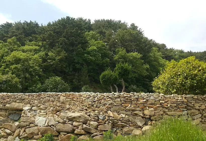 A Day In Geoje Pension