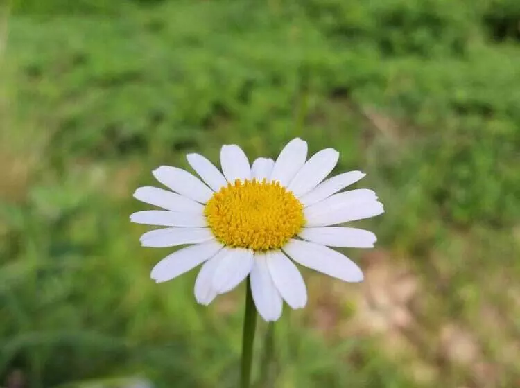 A Day In Geoje Pension